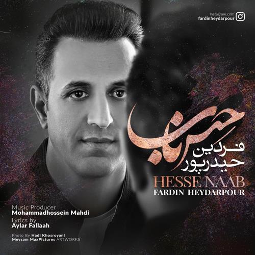 فردین حیدرپور حس ناب